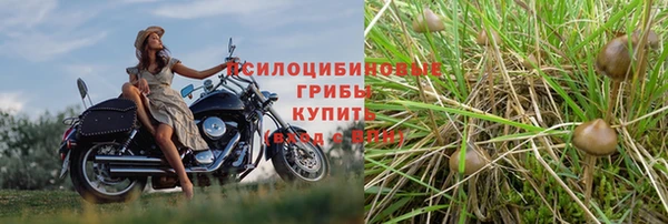 2c-b Нефтегорск
