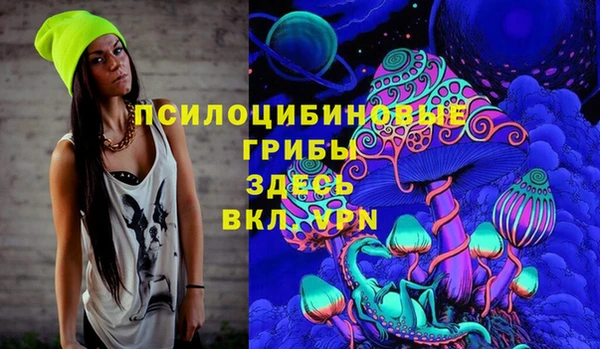 гидра Анжеро-Судженск